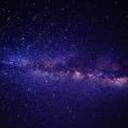 tomatodragonskull avatar