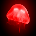 tomatojellyfish avatar