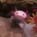 tomatoplz-blog avatar