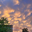 tome-of-clover avatar