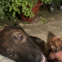 tomefromme-tx avatar