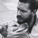 tomhardyholdingdogs avatar