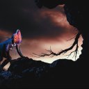 tomhollndshands avatar