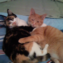 tomkeepstrying avatar