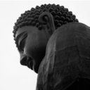 tommasomeliphotography avatar