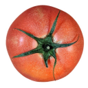 tommytomatoe avatar