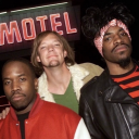 tomnookkilledmyson avatar