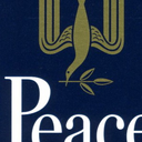 tomoakinishino avatar