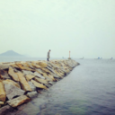 tomokotanaka0705 avatar