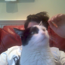 tomoosetheallconsuming avatar