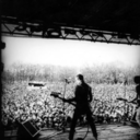 tomorrow-now-knows avatar