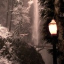 tomorrow-series-eu avatar