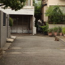 tomorrowcatistoolate avatar