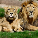 tomorrowistoday00 avatar