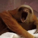 tomorrowtomorrowtomorrow avatar