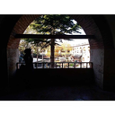 tomrisin-soyundan avatar