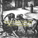 tomthebassoon avatar