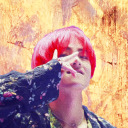 tomvorlostriddle avatar