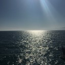 tomysweetvenom avatar