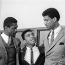 toneknight716 avatar