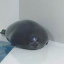 tongue-tied-ties avatar