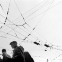 tonguedepressors avatar