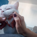 tonguedinhoney avatar