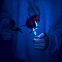 toni-is-trash avatar