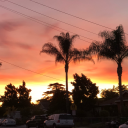 tony-li-li-li avatar