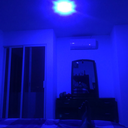 tonycondervador avatar