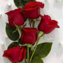 tonypaim0077-blog avatar