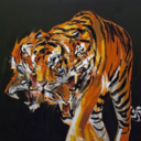 tonythetiger113 avatar