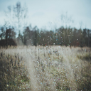 too-bright-to-be avatar