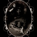 too-many-fandoms666 avatar