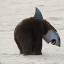 too-many-signs avatar