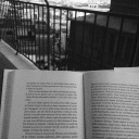 too-many-things-in-my-head avatar