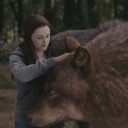 too-queer-to-function avatar