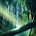 tooarcadelove avatar