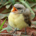 tooawesomeforawesome avatar