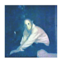 toodetudpimedas avatar