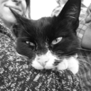 toofarforgotten90 avatar