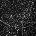 toolateformcrtooearlytoleaveemo avatar