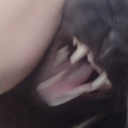 toolazyforthisbs avatar