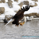 toolman1415-blog avatar