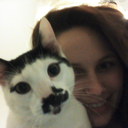 toomajestictoride avatar