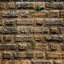 toomanyandtoolate avatar