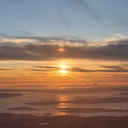 toomanypossumsinthistrenchcoat avatar