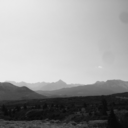 toomanysilentwords avatar