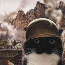 toomanysunrises avatar