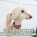 toomanywordsnotenoughsilence avatar